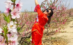 中文字幕乱码人在线视频1区